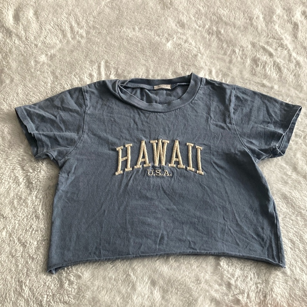 Hawaii USA Blue Brandy Melville Crop Top
